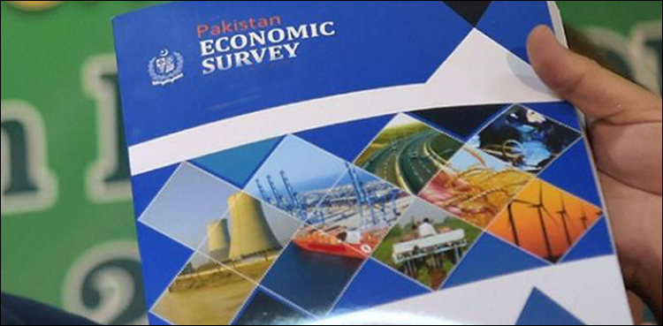 Economic Survey to be launched tomorrow