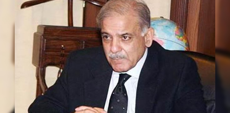 Remand and arrest of Shehbaz Sharif challenged in LHC