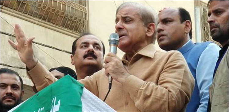 NAB summons Shehbaz Sharif on Aug 20