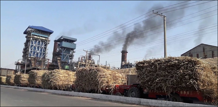 Punjab prepares action plan against sugar mills failing to begin crushing