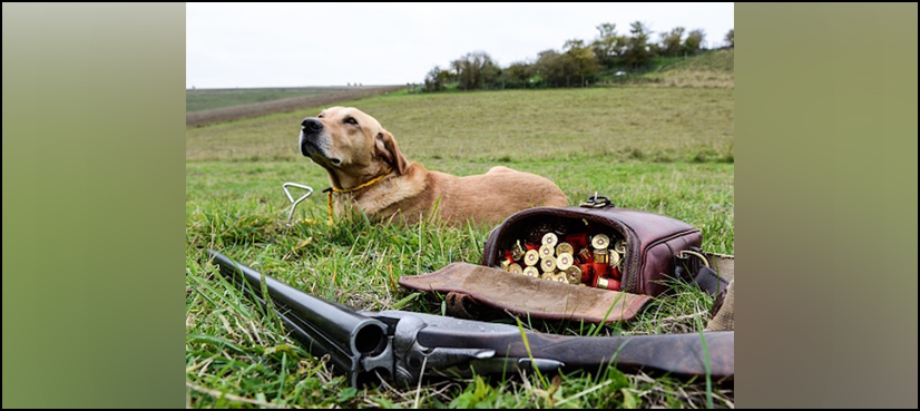 US man shot by his dog in freak incident