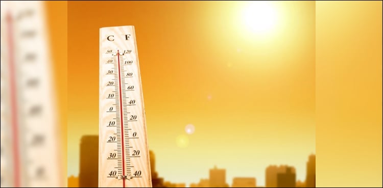 'Life or death' for big cities should planet warm 3C: study