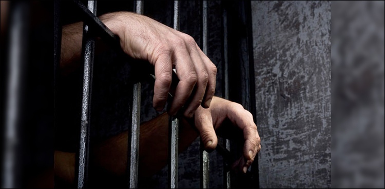 Multan man gets 18-year jail term for throwing shoe at judge