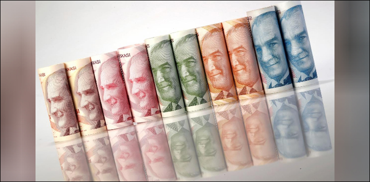 Turkish lira hits record low, down 20 percent against dollar