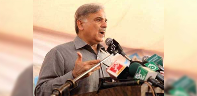 Plea in LHC seeks release of Shehbaz Sharif