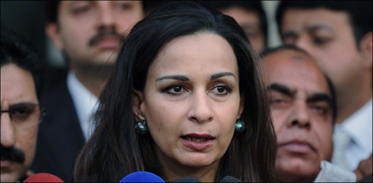 Shakirullah’s murder should be brought to attention of international community: Sherry Rehman