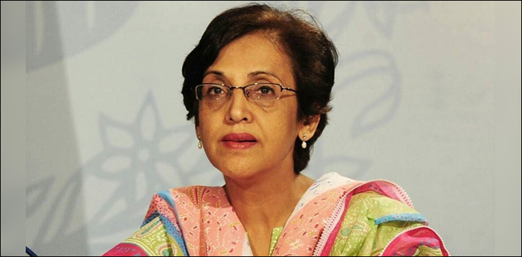 Tehmina apprises UN high commissioner of human rights violations in IoK: FO