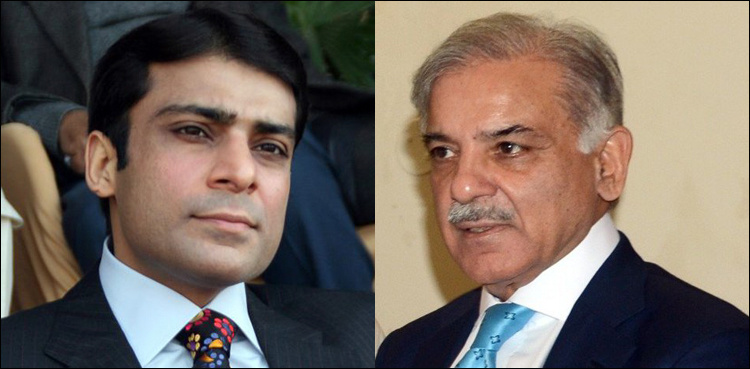 Hamza has double the wealth than father Shehbaz