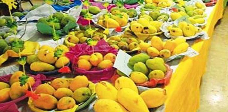 National Mango Festival begins in Mirpur Khas