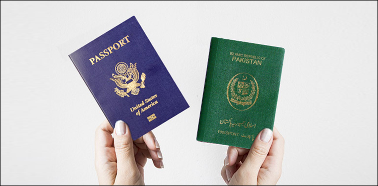 FIA report reveals names of election candidates holding dual nationalities