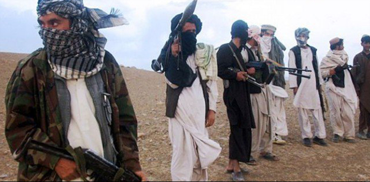 Afghan Taliban frees American after two years of detention