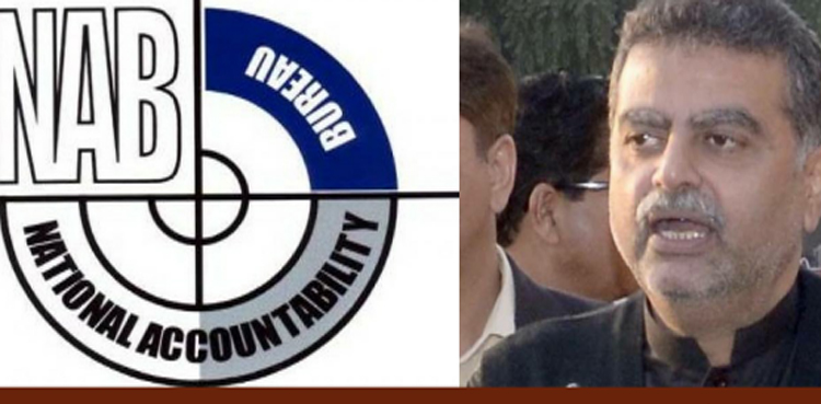 Saaf Pani case: NAB investigates Zaeem Qadri