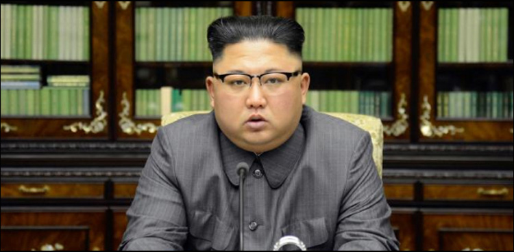 North Korea's Kim open to nuclear site inspection: report