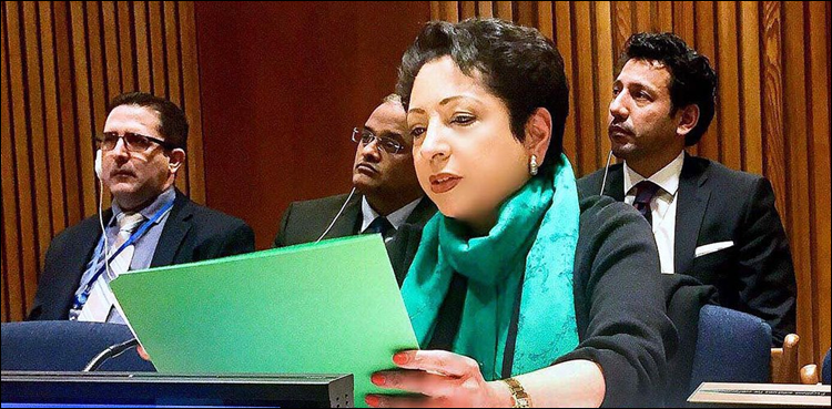 Pakistan decries selective observance of international obligations