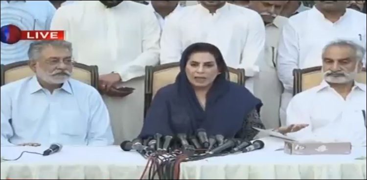 Fehmida, Zulfiqar Mirza join Grand Democratic Alliance