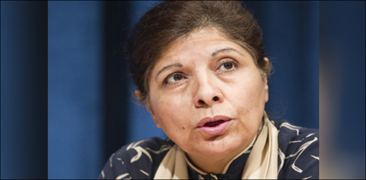 Govt has mandate for privatization and economic decisions: Shamshad Akhtar