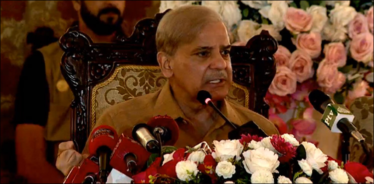 'We bore all sort of accusations but delivered,' says Shehbaz Sharif
