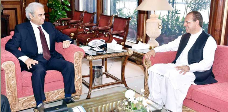 PM reaffirms Pakistan's support for Afghan-owned, Afghan-led peace process