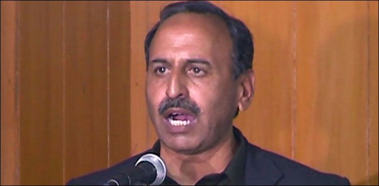 SC allows PML-N's Anjum Aqeel to contest election