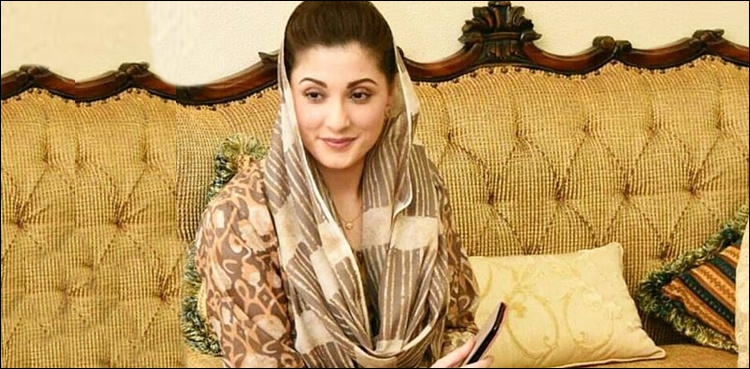 ‘We will not beg for mercy’, says Maryam Nawaz