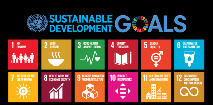 Pakistan announces formation of task forces to achieve SDGs