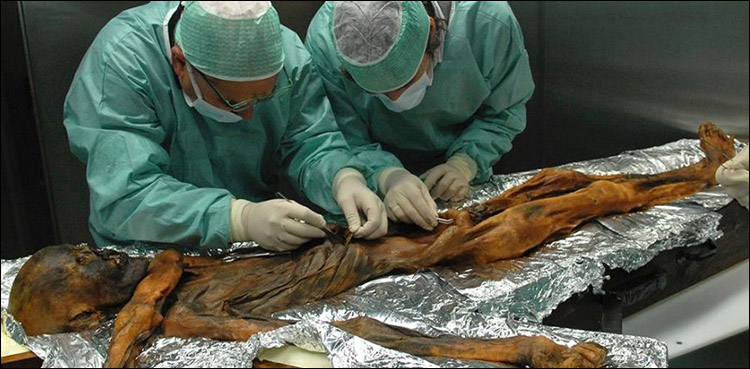 Last meal of ancient 'Iceman' revealed