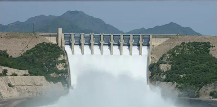 Overseas Pakistanis Foundation contributes to dams fund