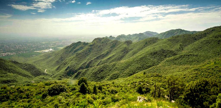 Bangladesh tea workers strike against dollar-a-day wages