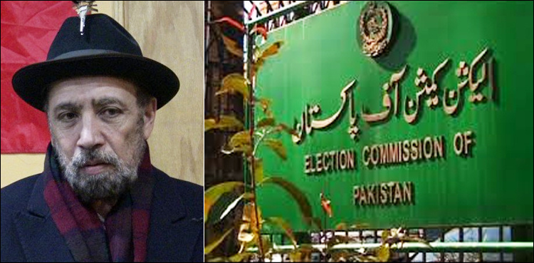 ECP postpones election in PK-99 after death of PTI's Iramullah in suicide attack