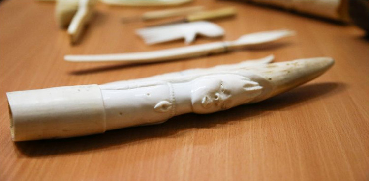 Illegal ivory openly sold across Europe: study