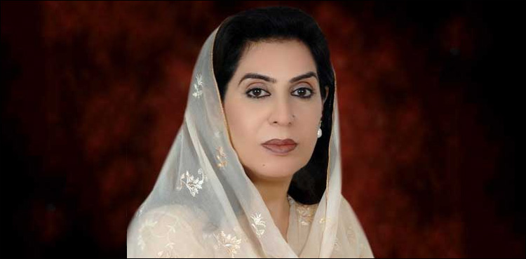 SHC grants Zulfiqar, Fehmida Mirza to contest election