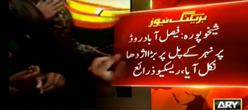 Rescue workers seize giant snake from Sheikhupura