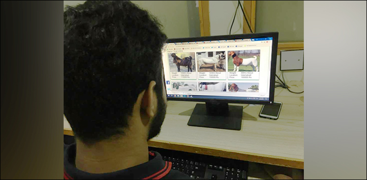 ‘Online bakra mandis’ - A burgeoning trend in Pakistan?