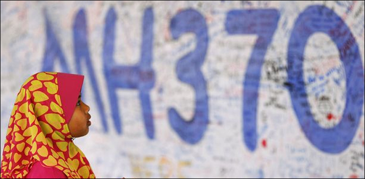 Conspiracy theorist claims to have spotted missing Flight MH370 underwater
