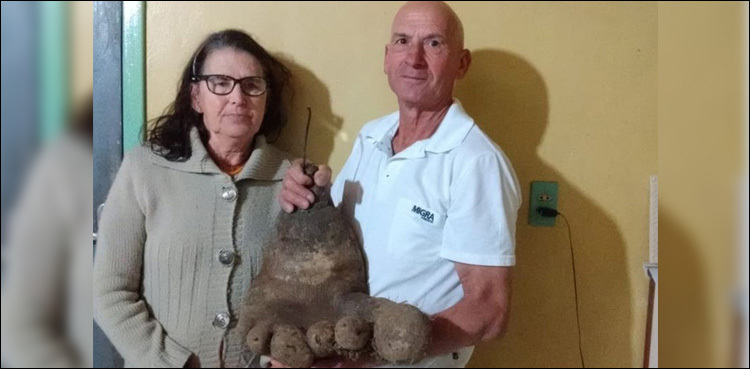 Is this a potato foot?