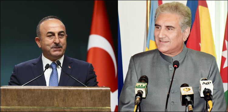Pakistan keen to expand bilateral relations with Turkey: FM Qureshi