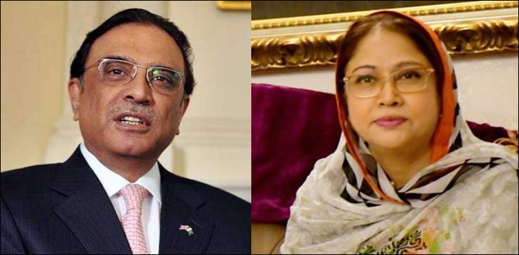 Zardari, Faryal Talpur want a new JIT to probe money-laundering charges