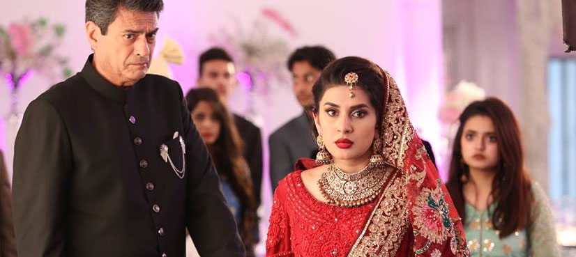 'Jawani Phir Nahi Ani 2' collects Rs47.3Crore in two weeks