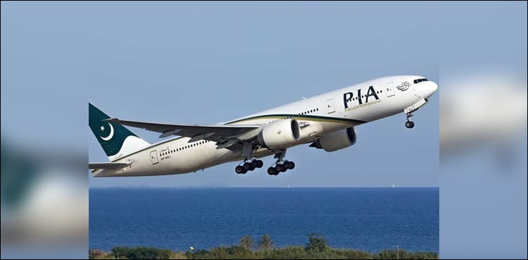PIA flight attendant challenges dismissal over 'fake degree'