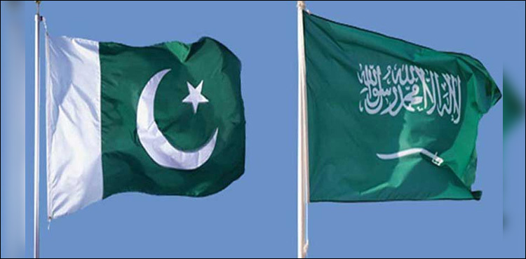 'Saudi Arabia stands with Pakistan against all forms of terrorism'