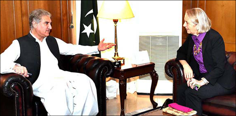 Qureshi calls for ending systematic human rights abuses in occupied Kashmir