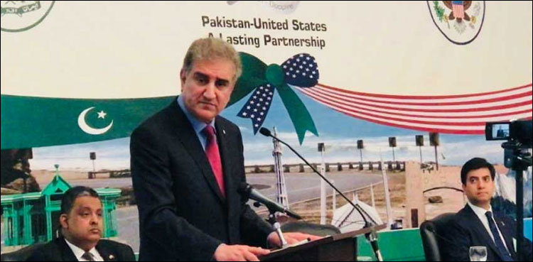 India evading efforts towards better environment for humanity: FM Qureshi