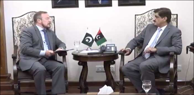 Sindh govt promises infrastructure space to Russian investors