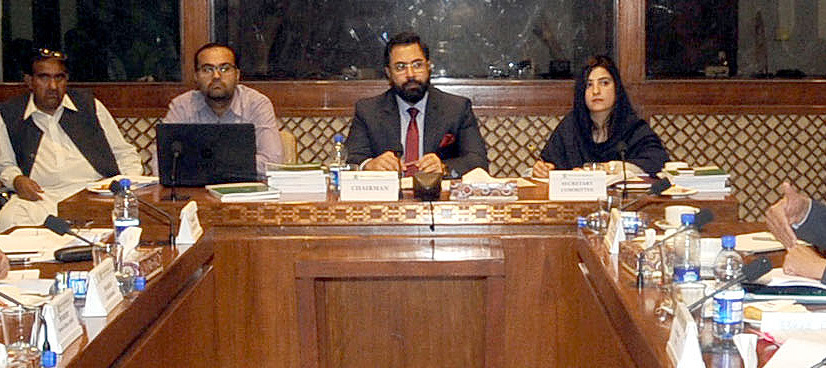 Senate committee recommends allocating funds for Gwadar University