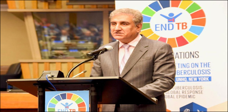 FM Qureshi resolves to root out TB from Pakistan by 2030