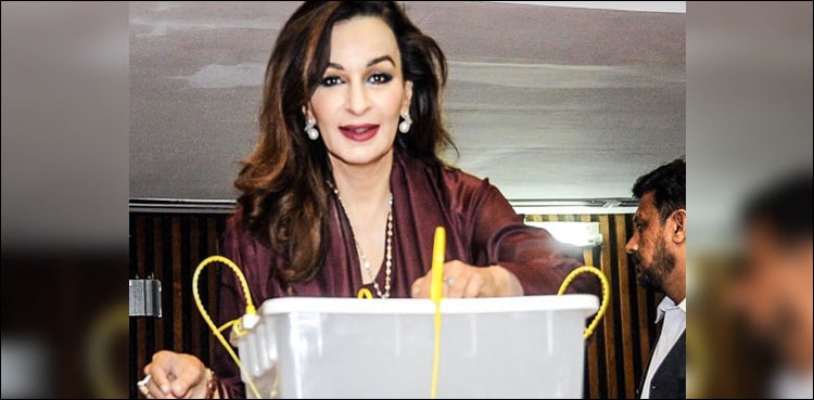 Sherry Rehman felicitates Arif Alvi on success in presidential poll