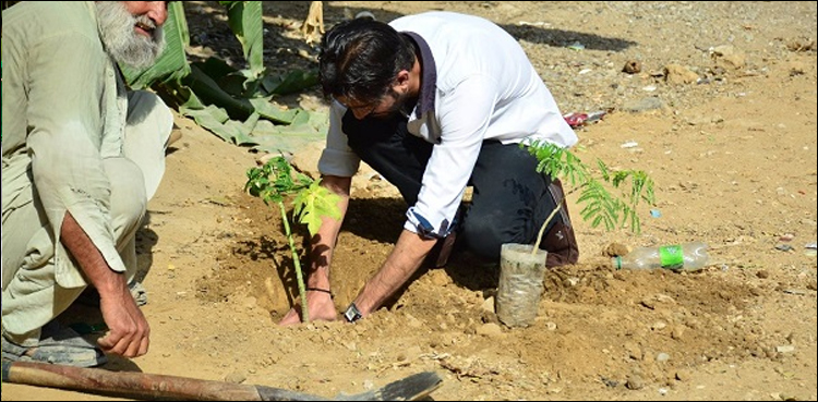 2.5mn saplings planted against target of 1.5mn, claims ministry