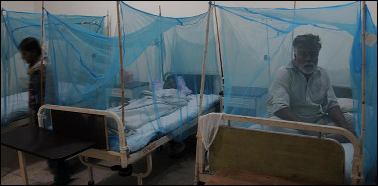 Sindh records 377 dengue fever cases in October