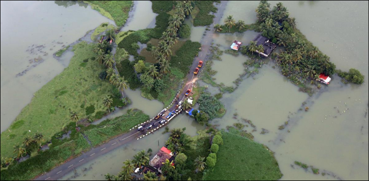 Indian state battles 'rat fever' outbreak after worst floods in a century