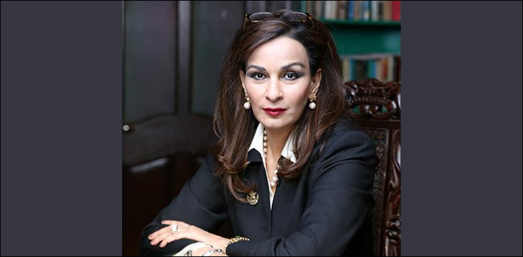 Sherry Rehman disappointed over 'non-serious' mini budget